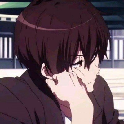 狗狗高度近视主人花800元给配眼镜
